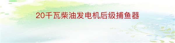 20千瓦柴油发电机后级捕鱼器