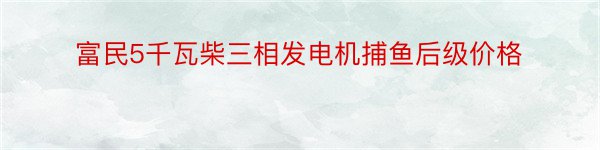 富民5千瓦柴三相发电机捕鱼后级价格