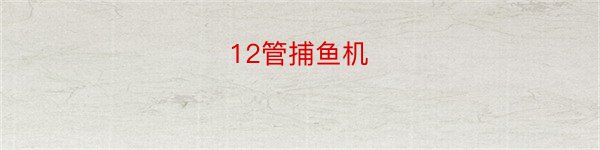 12管捕鱼机