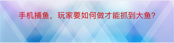 手机捕鱼，玩家要如何做才能抓到大鱼？