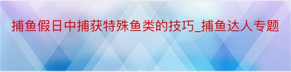 捕鱼假日中捕获特殊鱼类的技巧_捕鱼达人专题