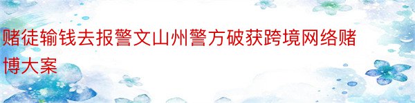 赌徒输钱去报警文山州警方破获跨境网络赌博大案